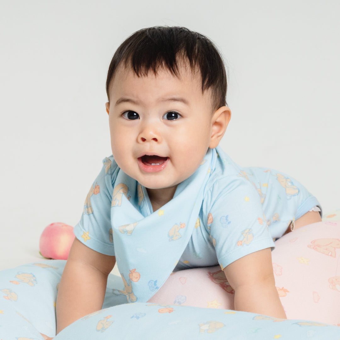 Bib Signature Cream & Blue Set