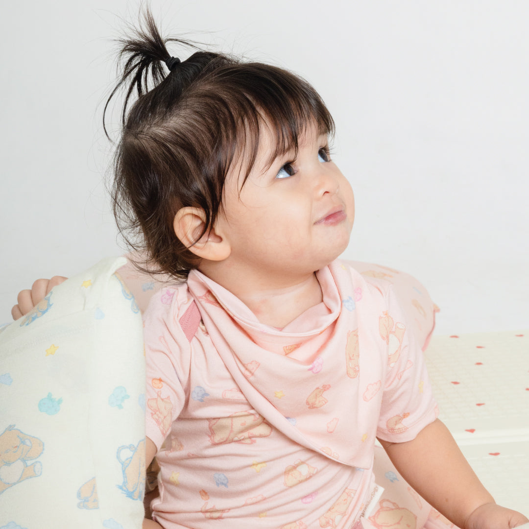 Bib Signature Blue & Pink Set