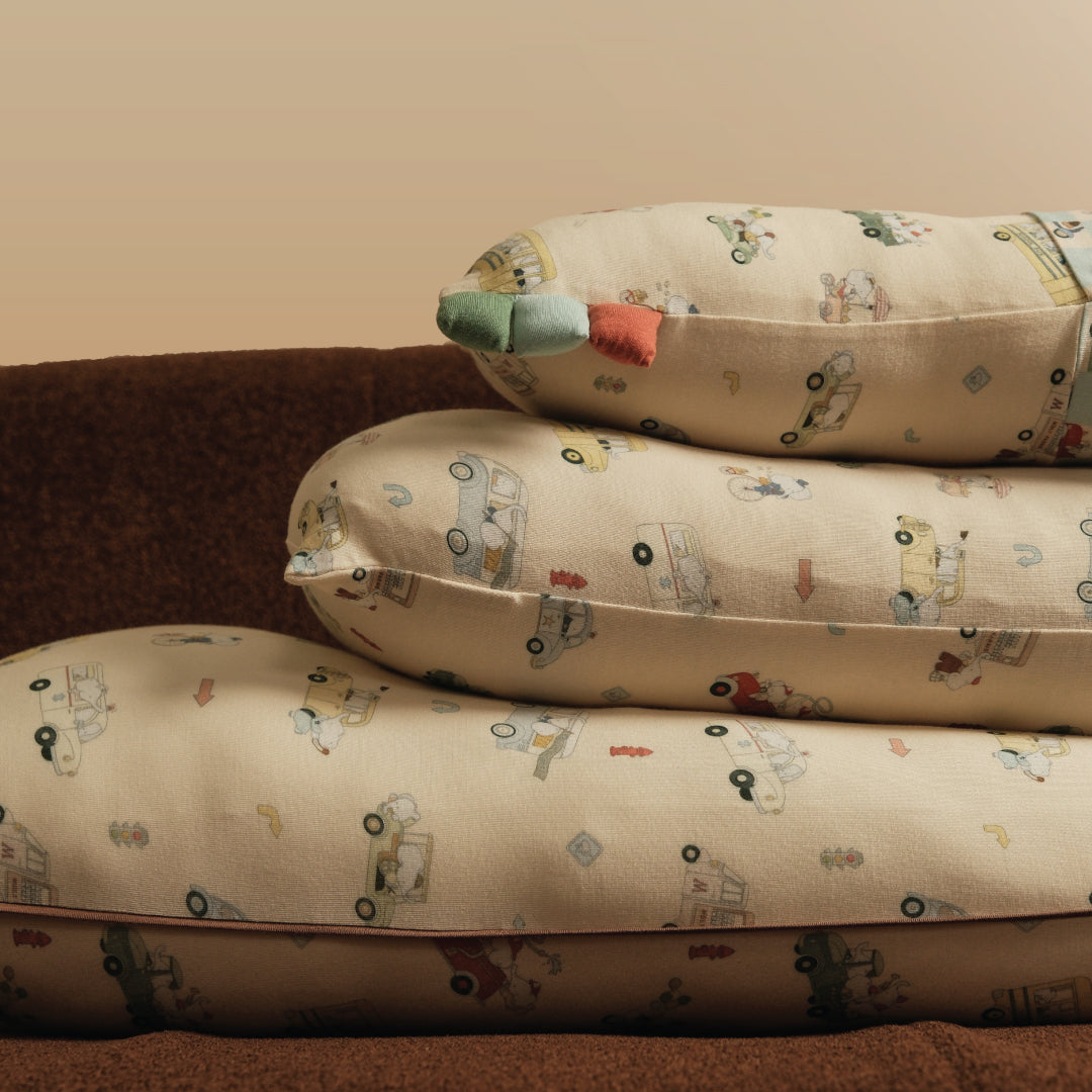 Chubby Hug Pillow - Whimsical Wheels