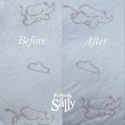 Lint Remover / Fabric Care - Friends of Sally