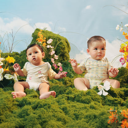 Baby Onesies Set - Cruz the Goose