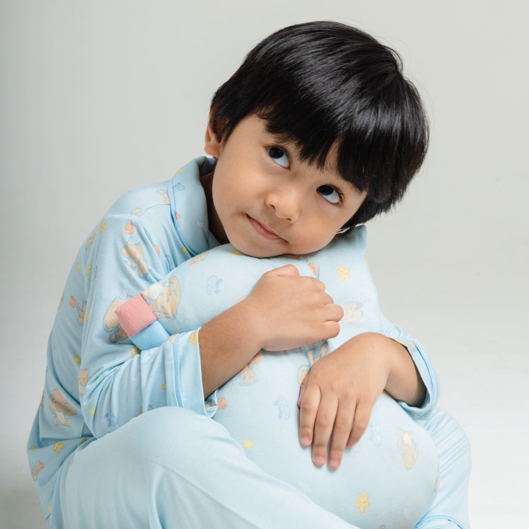 Regular Hug Pillow - Signature Blue