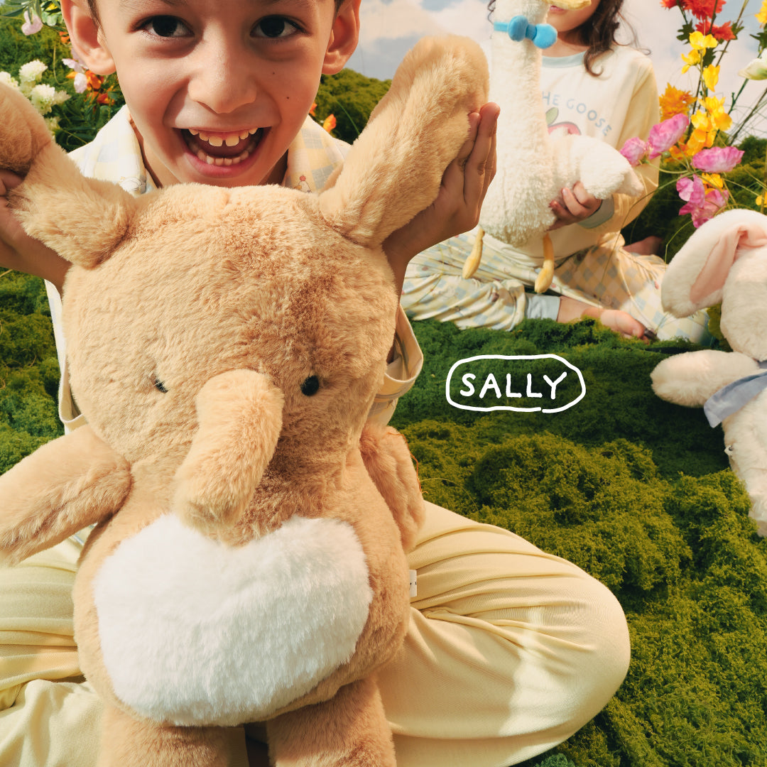 FRIENDS OF SALLY X BABEEBOO - Sally Plushie
